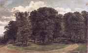 John glover The copse oil